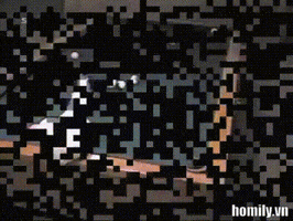 Homily  GIF