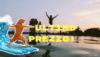 silviabonasegalecamnasio  GIF