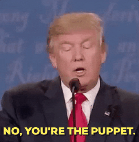 giphy.gif?cid=6c09b952ohpkx10sd2ngfupff1