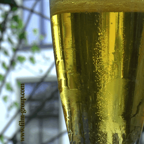 olekondra summer drink beer glass GIF