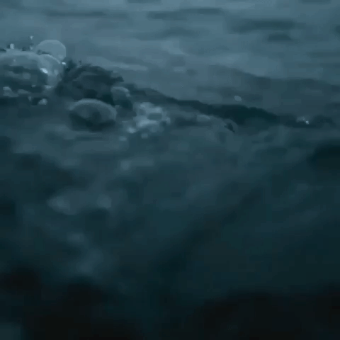 romanbentonfawns water scary creepy ocean GIF