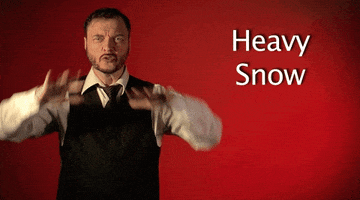 heavy snow GIF by Sign with Robert