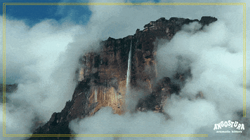 200.gif?cid=3640f6095bde3f05424f557a2eddbf4f