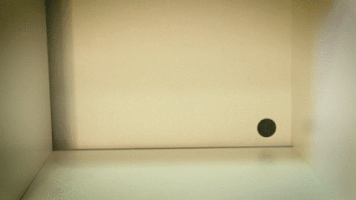 ashleyfurniture  GIF