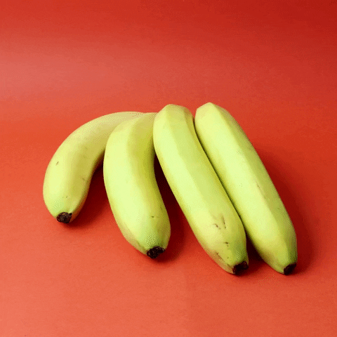 Video gif. Four bananas pop up and tap the table rhythmically, like fingers tapping impatiently.