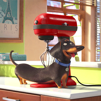 Massage Baking GIF by The Secret Life Of Pets - Find & Share on GIPHY