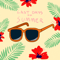 Last Day Summer GIF by Lame Kids Club