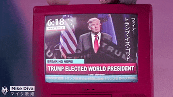 donald trump GIF by Mike Diva