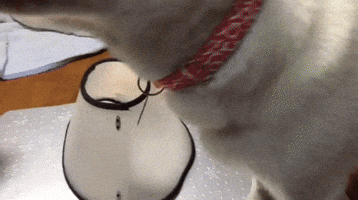 yw5uev9sdw5pb3zhqg1hawwucnu  GIF