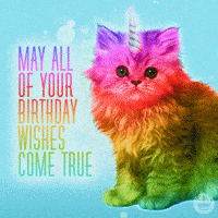 Save Them All Happy Birthday GIF by Best Friends Animal Society - Find &  Share on GIPHY