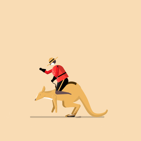 Kangaroo-ride GIFs - Get the best GIF on GIPHY