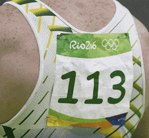 candidohenriquesilva gifzanetti GIF