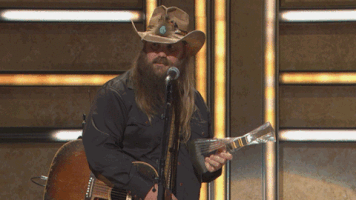 chris stapleton GIF by CMT Artists of the Year