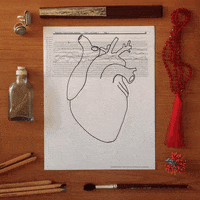 heart beat love GIF by xavieralopez