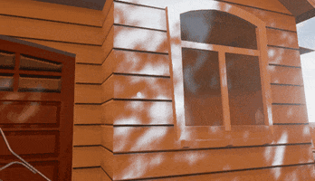 donmihalych  GIF