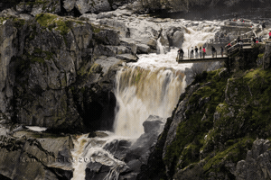 iursemog3dgmailcom  GIF