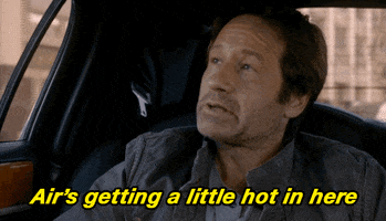 TV gif. David Duchovny as Fox in The X-Files rides in a car as he tilts his head casually and says, "Air's getting a little hot in here."