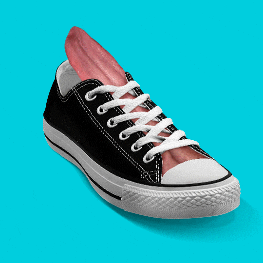 lick-shoe-gifs-get-the-best-gif-on-giphy