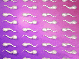 sperm GIF by Nate Makuch