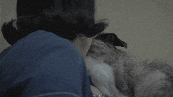 Video gif. Scrappy looking dog licks all over a woman’s face. She smiles, letting the dog lick all over her. Behind her a man in scrubs looks at her through a glass window in shock.