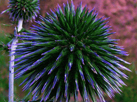yxzpmjaxmdg1qgdtywlslmnvbq splinter GIF