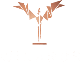 Salzburger Wirtschaftspreis Sticker