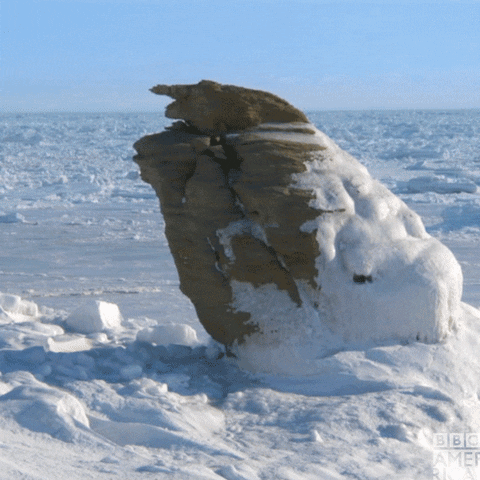 Climate Change Melt GIF by BBC America