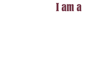 New York College Sticker by Iona University