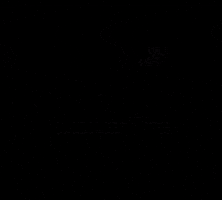 padel line club GIF