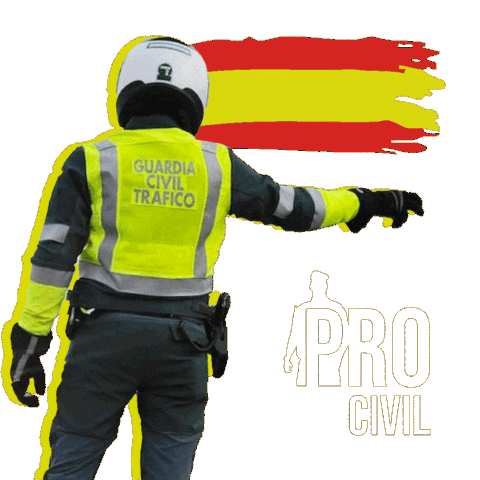 Academia Guardia Civil Sticker by ProCivilAcademia
