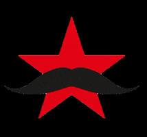 Zapatista Burrito bar GIF