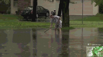 Naperville GIF