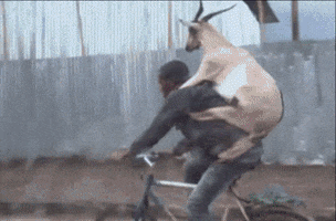 Goat GIF