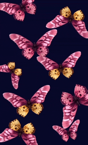Flying Monarch Butterfly GIF by Dr. Donna Thomas Rodgers