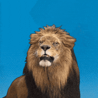 Lion Leo GIF by CSU