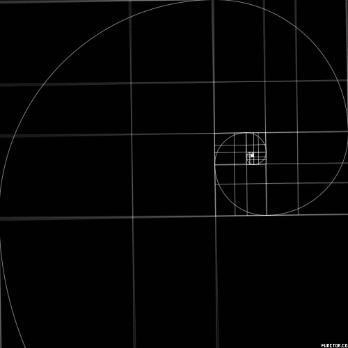 brendonculliton  GIF