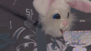 easter bunny GIF by NHL