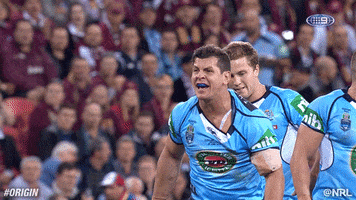 rugby league bird GIF by NRL