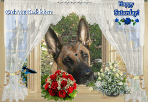 cashvonbadeleben look rose saturday greetings GIF