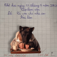 kakaphong hocsinh vietnam GIF