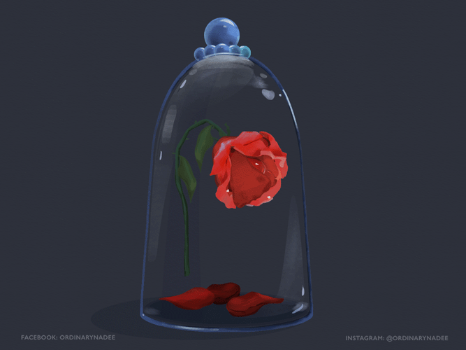 Beauty And The Beast Rose Gif By Ordinary Nadee Find Share On Giphy