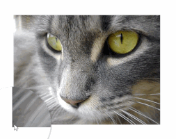 intelligibabble  GIF