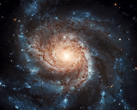 Century Gif By Feist Find Share On Giphy