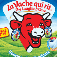 France Laughing GIF by Feliks Tomasz Konczakowski
