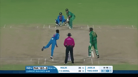 Icc Australia GIFs - Get the best GIF on GIPHY