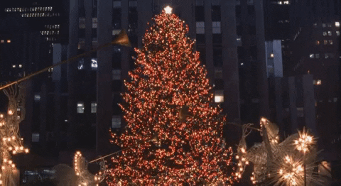 Christmas Tree GIFs - Find & Share on GIPHY