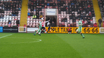goal ecfc GIF by Exeter City Football Club