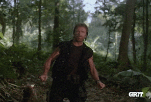 Movie gif. Action star Chuck Norris delivers a flying kick to the chest of a pony-tailed opponent in the forest.