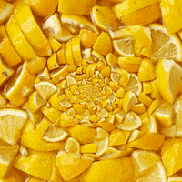 Soak Lemon Pie GIF by Feliks Tomasz Konczakowski