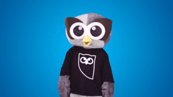 Video gif. Person wearing an owl costume and owl t-shirt points and looks up, alternating from one side to the other.